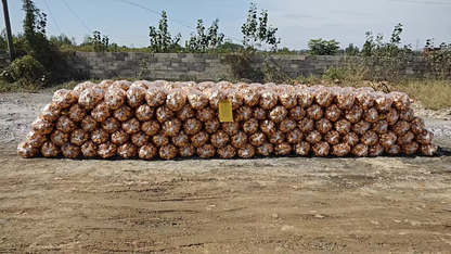 Karma Creditor Ritual Services